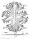Fig. 10 - Three-dimensional branching structures and methods for making and using same