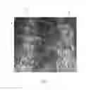 Fig. 04 - Tufted fibrous web