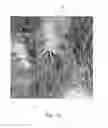 Fig. 11 - Tufted fibrous web