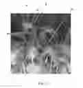 Fig. 12 - Tufted fibrous web