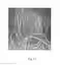 Fig. 13 - Tufted fibrous web