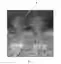 Fig. 15 - Tufted fibrous web