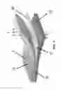 Fig. 02 - Vapor permeable fabric constructs with static or dynamic antimicrobial compositions