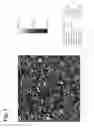 Fig. 04 - Treatments and kits for creating renewable surface protective coatings