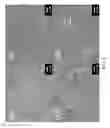 Fig. 06 - ANTI-FLAME FILM AND METHOD FOR PRODUCING THE SAME