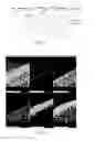 Fig. 02 - POROUS SUPPORT SUBSTRATE WITH AN ELECTRICALLY CONDUCTIVE CERAMIC LAYER