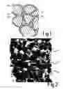 Fig. 02 - Tough, water-permeable paver