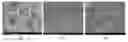 Fig. 01 - Method for producing sheets including fibrous aerogel