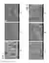 Fig. 02 - Method for producing sheets including fibrous aerogel