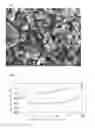 Fig. 09 - ELECTRODE FOR LITHIUM ION BATTERY AND METHOD FOR PRODUCING SAME