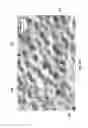 Fig. 06 - Hybrid materials using ionic particles