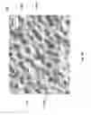 Fig. 14 - Hybrid materials using ionic particles