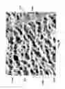 Fig. 15 - Hybrid materials using ionic particles