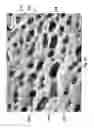 Fig. 16 - Hybrid materials using ionic particles
