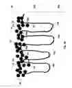 Fig. 23 - Hybrid materials using ionic particles