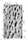 Fig. 28 - Hybrid materials using ionic particles