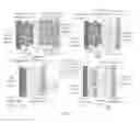 Fig. 02 - Partially and fully surface-enabled metal ion-exchanging energy storage devices