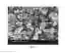 Fig. 09 - Partially and fully surface-enabled metal ion-exchanging energy storage devices