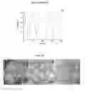 Fig. 10 - Energy charge storage device using a printable polyelectrolyte as electrolyte material