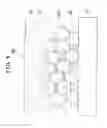 Fig. 09 - POWER GENERATION CELL FOR SOLID ELECTROLYTE FUEL CELL AND STRUCTURE OF FUEL ELECTRODE THEREOF
