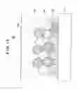 Fig. 14 - POWER GENERATION CELL FOR SOLID ELECTROLYTE FUEL CELL AND STRUCTURE OF FUEL ELECTRODE THEREOF