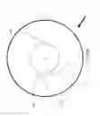 Fig. 09 - Flameless combustion burner