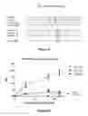 Fig. 04 - System for Detection of Occult Murine Cytomegalovirus (MCMV)
