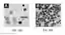 Fig. 19 - Rare Cell Analysis Using Sample Splitting And DNA Tags