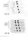 Fig. 03 - Rare Cell Analysis Using Sample Splitting And DNA Tags