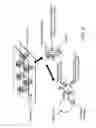 Fig. 05 - Rare Cell Analysis Using Sample Splitting And DNA Tags