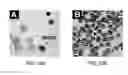 Fig. 19 - Rare Cell Analysis Using Sample Splitting And DNA Tags