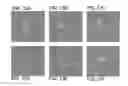 Fig. 20 - Rare Cell Analysis Using Sample Splitting And DNA Tags