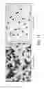 Fig. 24 - Rare Cell Analysis Using Sample Splitting And DNA Tags