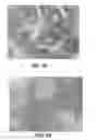 Fig. 17 - Enhanced deposition of chromogens