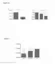 Fig. 07 - CHK2 polymorphism as a cancer marker