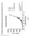 Fig. 19 - INFLAMMATORY BOWEL DISEASE PROGNOSTICS