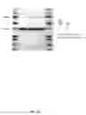 Fig. 26 - INFLAMMATORY BOWEL DISEASE PROGNOSTICS