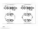 Fig. 03 - Composition, kits and methods for the detection of point mutations and SNPs