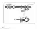 Fig. 04 - Composition, kits and methods for the detection of point mutations and SNPs