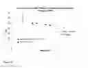 Fig. 11 - Composition, kits and methods for the detection of point mutations and SNPs