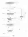 Fig. 09 - METHODS FOR THE IDENTIFICATION OF MICRORNA AND THEIR APPLICATIONS IN RESEARCH AND HUMAN HEALTH