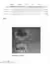 Fig. 06 - Spontaneously contracting fish cell aggregates, use thereof and method for the production thereof