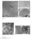 Fig. 10 - Spontaneously contracting fish cell aggregates, use thereof and method for the production thereof