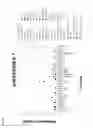 Fig. 06 - Antibodies for the detection of integrin complexes in FFPE material