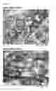Fig. 07 - Antibodies for the detection of integrin complexes in FFPE material