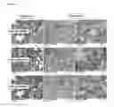 Fig. 14 - Antibodies for the detection of integrin complexes in FFPE material