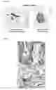 Fig. 26 - Antibodies for the detection of integrin complexes in FFPE material