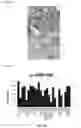 Fig. 33 - Antibodies for the detection of integrin complexes in FFPE material