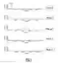 Fig. 02 - Method for grass species identification