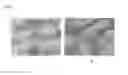 Fig. 08 - Submerged perfusion bioreactor